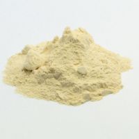 Dehydrated White onion Powder