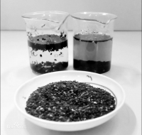 Sesame Seed Extract