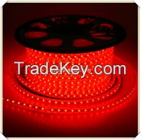 AC110 AC220V Flexible Led Strip SMD3528 Waterproof