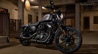 2016 Harley-Davidson Iron 883