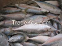 HERE IS OUR FISH PRICES FROM VIETNAM AND INDONESIA