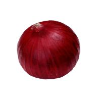 Fresh Onion