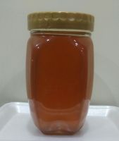 Sale on Pure Sidr / Jujube Honey