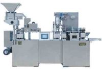 DPP250H Blister Packing Machine of Pharmaceutial Machinery
