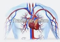 Interventional Cardiology, Gastroenterology, Radiology products