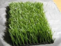 Sell Artificial Grass
