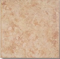 Rustic tile ( VR50S007)