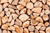 Wood Pellets , Charcoal , Firewood , Wood chips , Wood briquettes