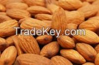 Almond Nuts, Betel nuts, cashew nuts, pistachios, walnuts, pine nuts and othe..., 