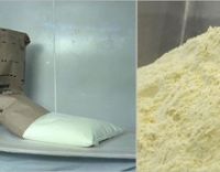 Whole Full Cream Milk Powder/Baby milk powder/Skimmed milk powder/Camel milk powder/Goat milk powder