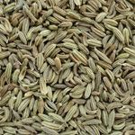 Grade AAA+ Fennel Seeds / Frist Quality Organic Fennel Seeds