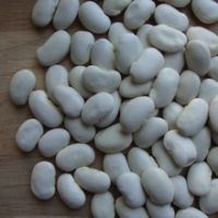 BIG WHITE KIDNEY BEAN/ LARGE WHITE KIDNEY BEAN/ LIMA BEAN