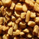 Fenugreek