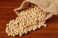 Natural organic raw soybeans