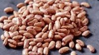 Light Speckled Kidney Beans /Pinto Beans/Sugar Beans