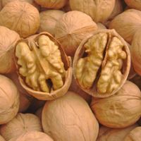 the best price whole walnuts in shell