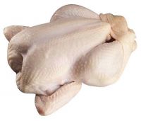 Quality Halal Whole Frozen Chicken