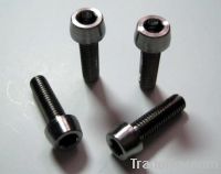 Sell titanium screw /bolt