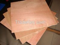 bintangor okoume plywood material for construction building