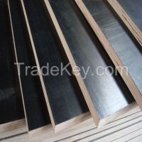 poplar plywood 12mm 16mm 18mm for your reference