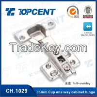 Furniture Hardware One/Two way 60g Cabinet Concealed Door Hinge