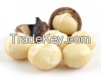 Raw Macadamias in Shell