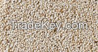 SESAME SEEDS FROM NIGERIA