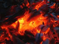 Barbecue Charcoal (Lump / Hardwood)
