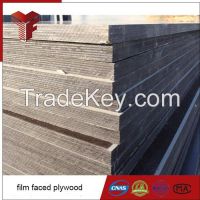 18mm Film Faced Plywood