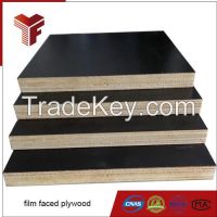 Consturction Plywood (black color)