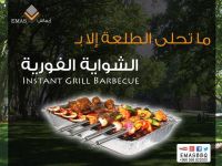 Disposable Barbeque Charcoal Grill