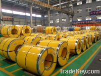 Sell 304 304L 316 stainless steel sheet , stainless coil