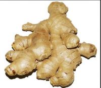 Dry Ginger