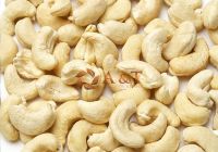 Cashew Nuts Best Offer from Vietnam