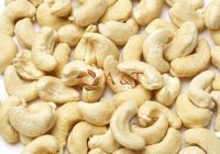 CASHEW NUT IN VIET NAM, W240 W320 GOOD PRICE, HIGH QUALITY