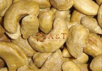 Raw cashew Nuts All Grades For Sale