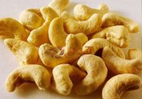 Cashew Nut best price from Vietnam