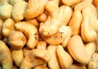 Premium Quality Raw Cashew Nuts