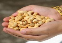 Processed Cashew Nuts Various Size w320, w240, w450