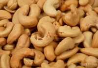 Raw Cashew Nut Best Price