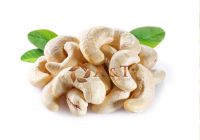 BEST QUALITY CASHEW NUT EXPORT STANDARD