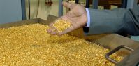 Sell Purified Gold Nuggets / Gold Bars / Ruby / Diamonds / Smelted Bars