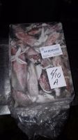 Frozen Seafood Loligo Squids available for Sale