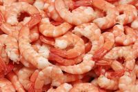 Grade A Frozen Red Pud Shrimps