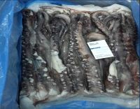 2017 Whole Sale Peru Giant Squid Frozen Tentacle