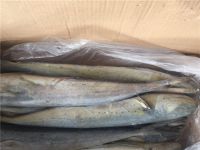 frozen mahi mahi fillets skinless frozen foods /frozen seafood for sale world wide