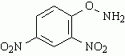 2, 4-Dinitrophenylhydroxylamine [17508-17-7], 98%