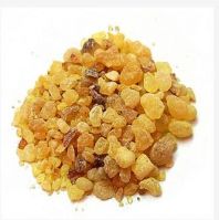 Boswellia Carterii Frankincense 100% Pure Essential Oils