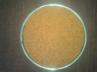 High qualityCotton Seed Meal