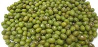 Crop Green Mung Bean